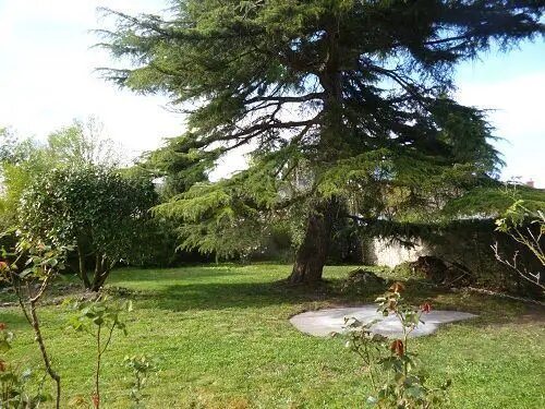 Maison à louer, 182m², Nemours