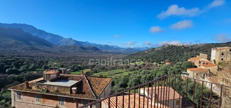 Maison à vendre, 300m², Montegrosso
