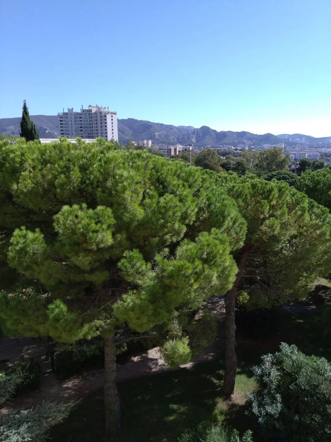Appartement à louer, 43m², Marseille 12ème
