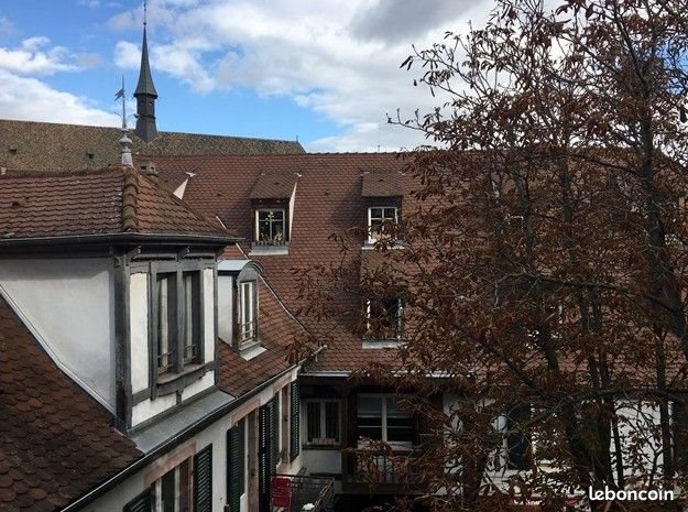 Appartement à louer, 38m², Colmar