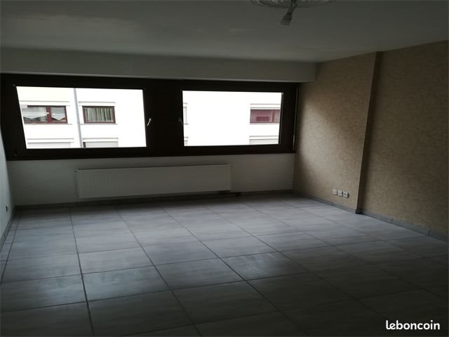 Appartement à louer, 49m², Colmar