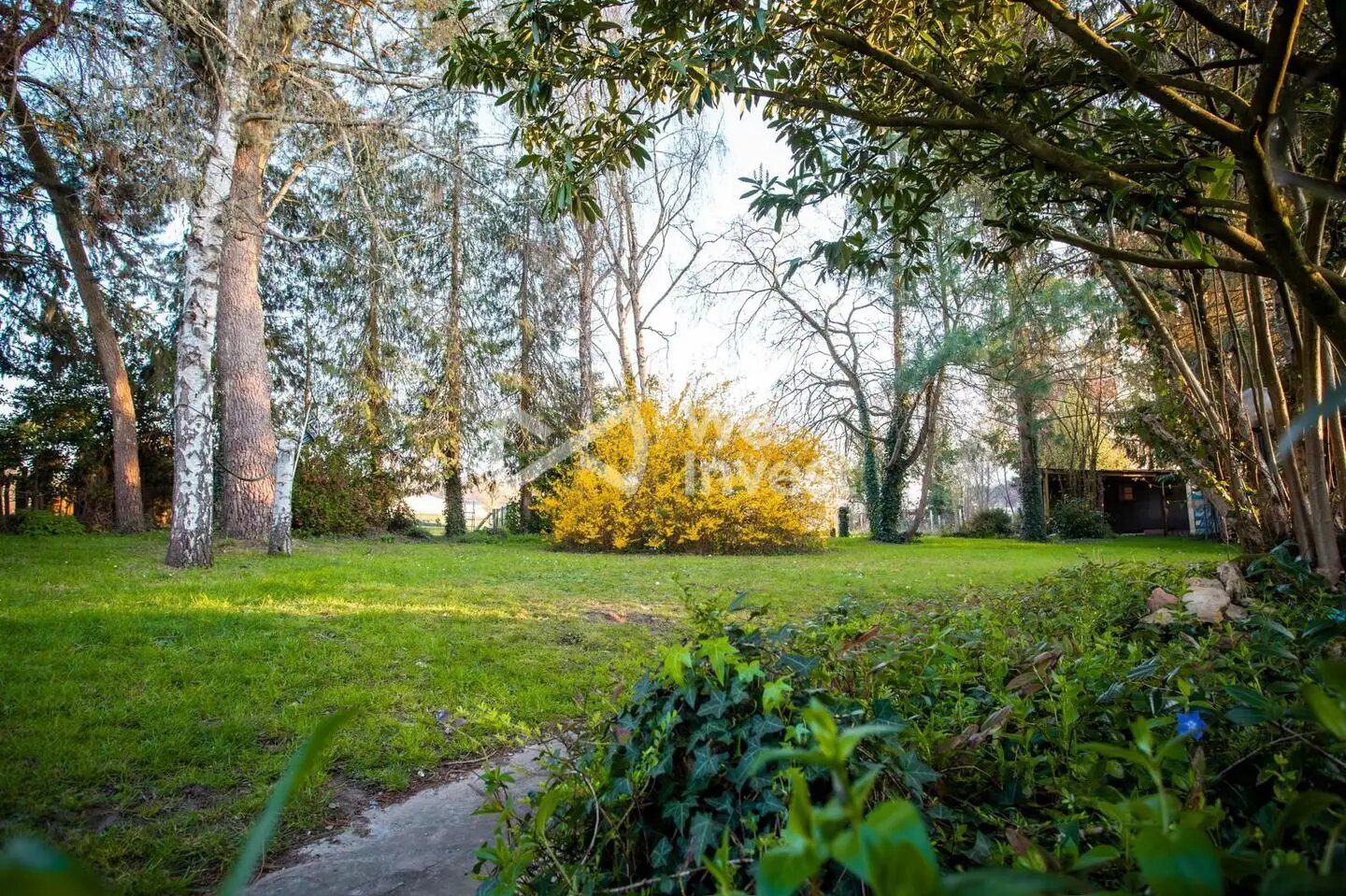 Maison à vendre, 234m², Brette-les-Pins