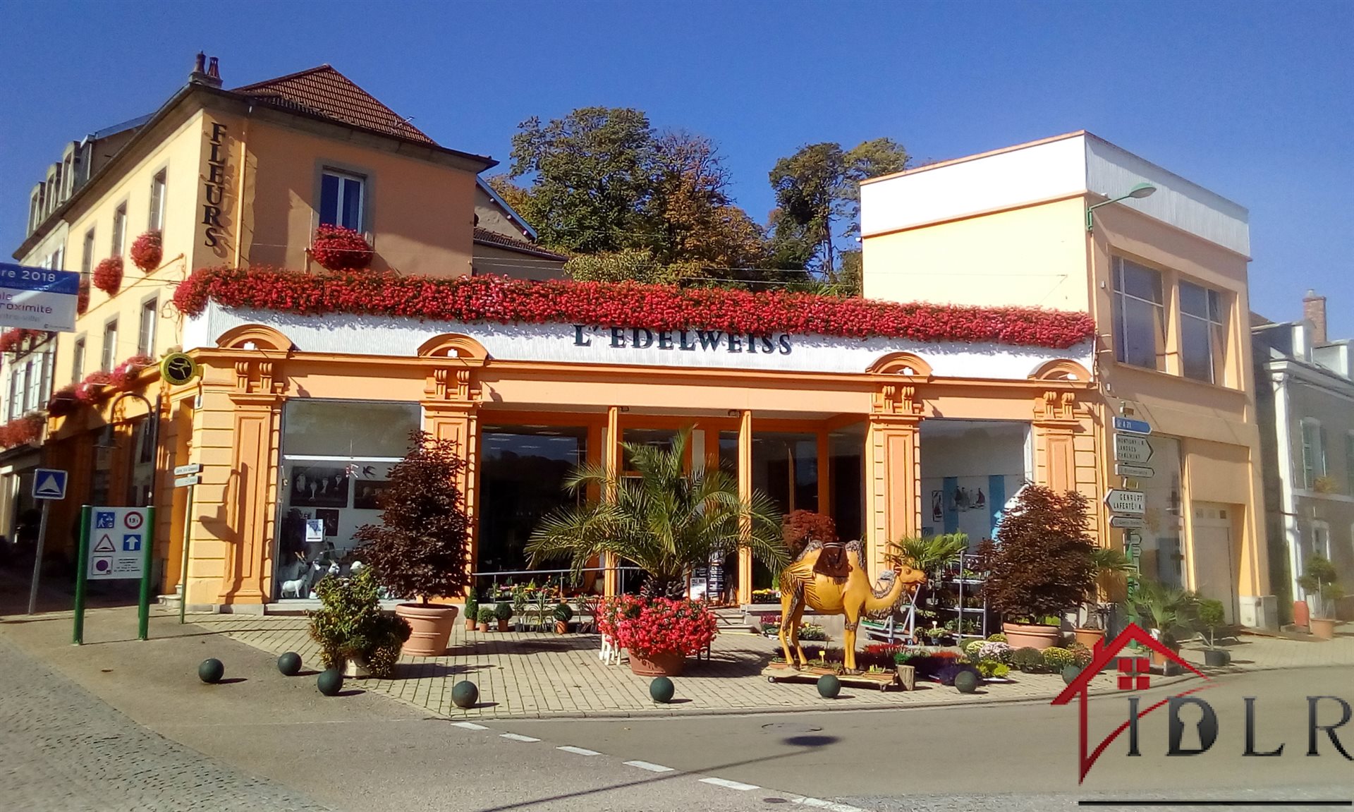 Maison à vendre, 430m², Bourbonne-les-Bains