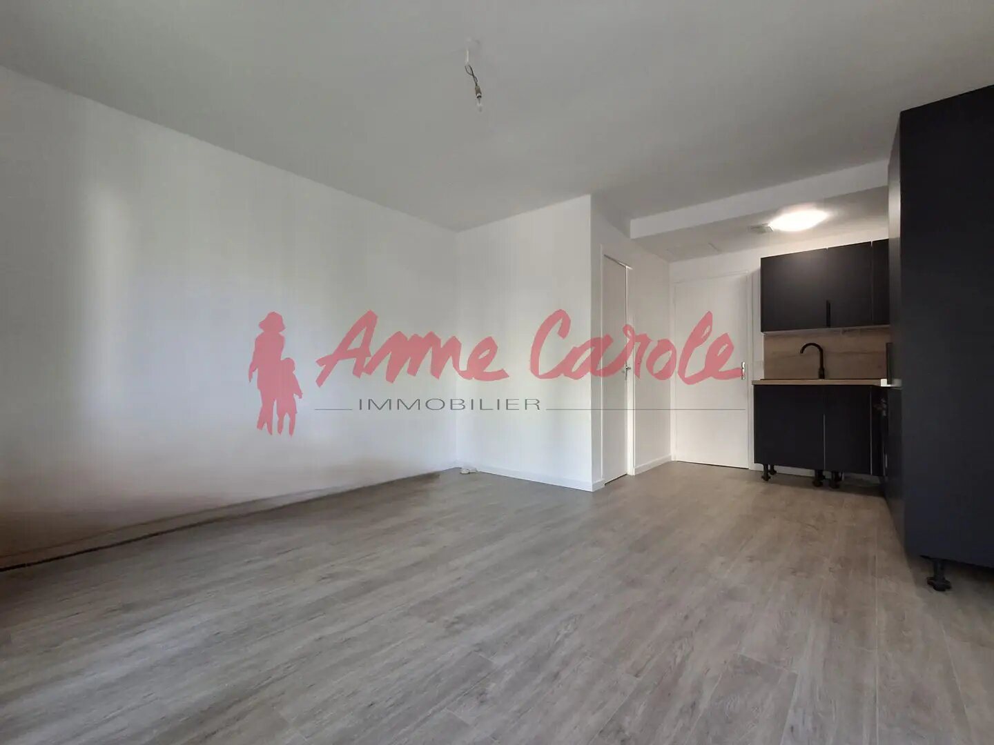 Appartement à vendre, 46m², Le Perreux-sur-Marne