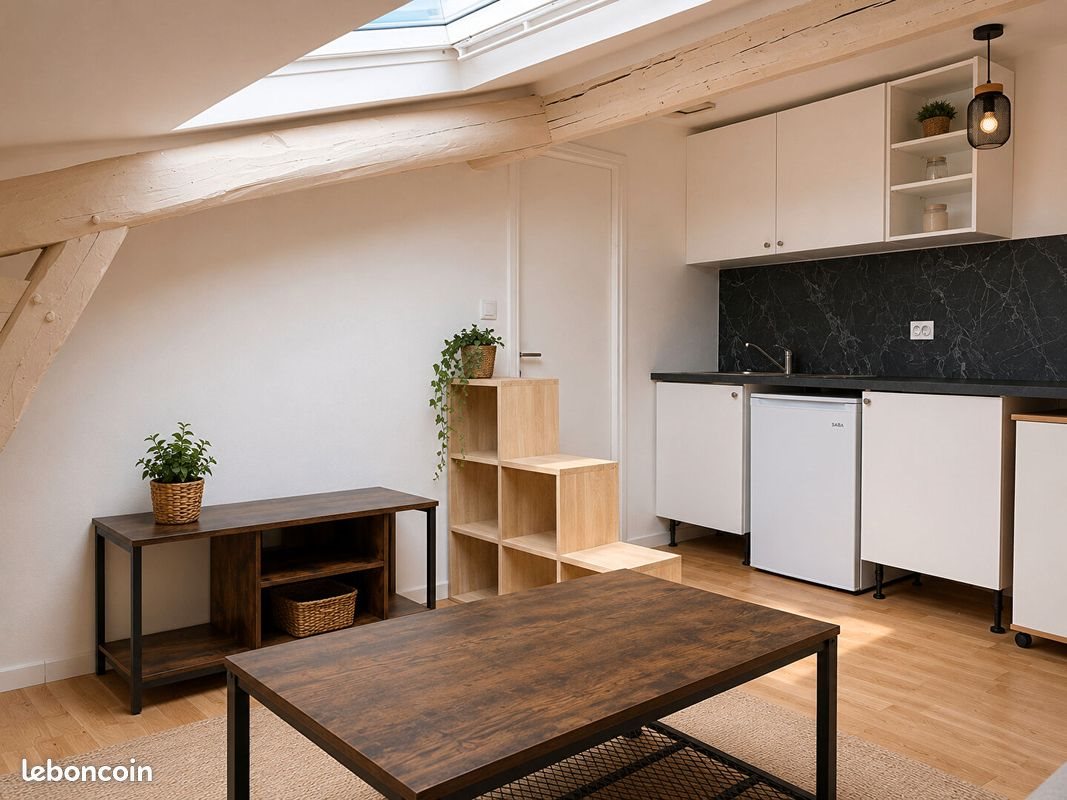 Appartement à louer, 19m², Reims