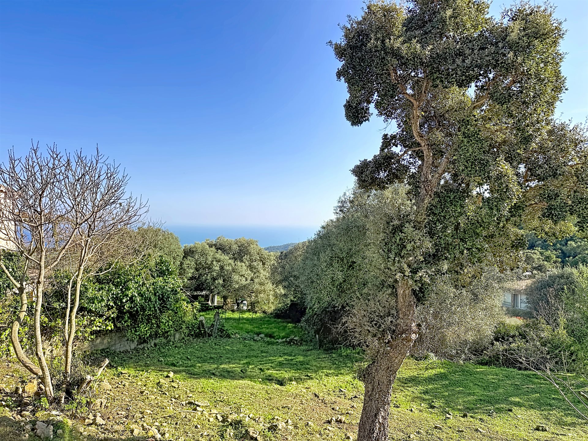 Maison à vendre, 42m², Sari-Solenzara
