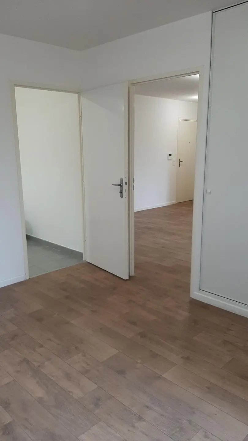 Appartement à louer, 43m², Le Blanc-Mesnil