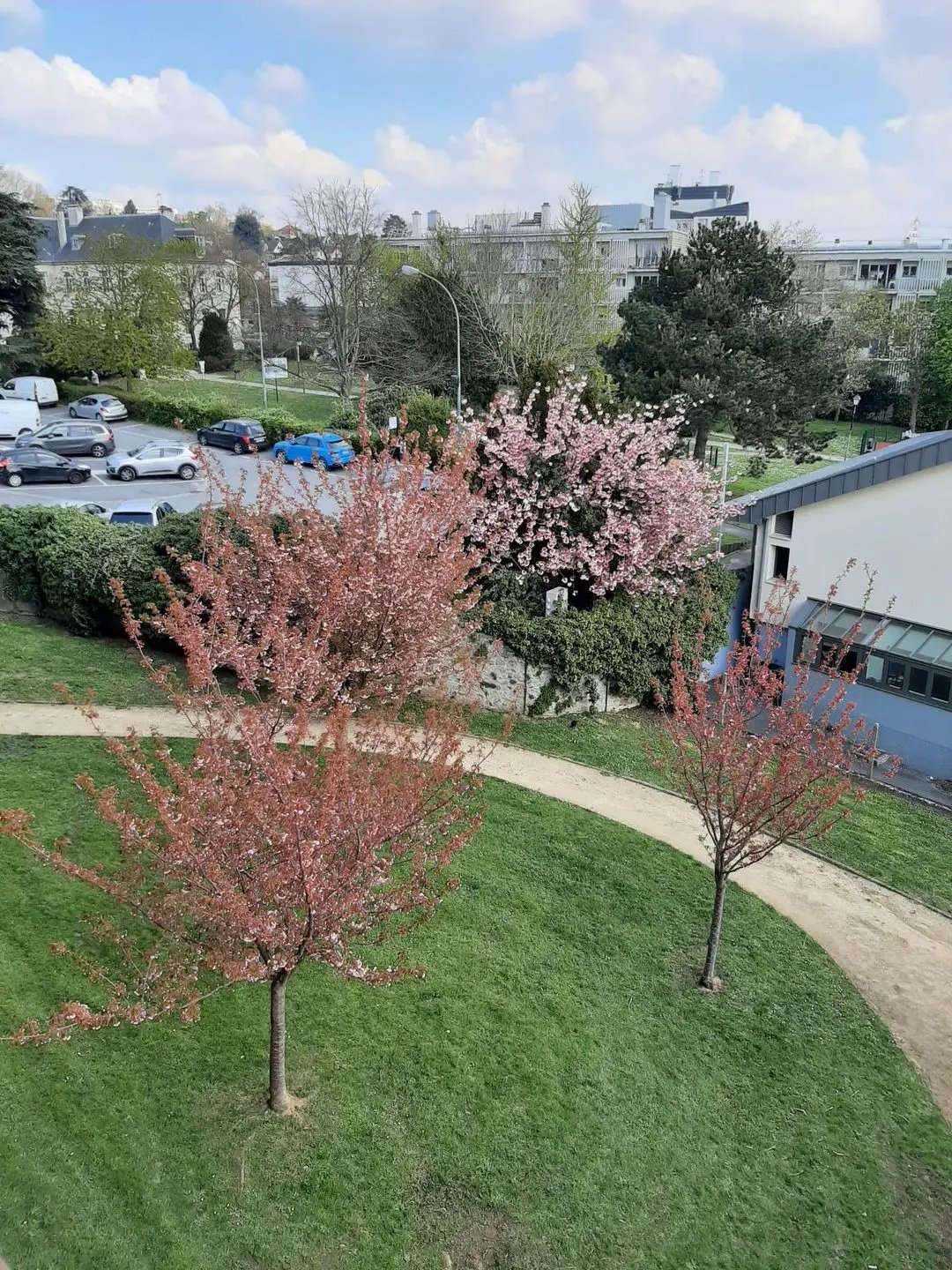 Appartement à louer, 35m², Palaiseau