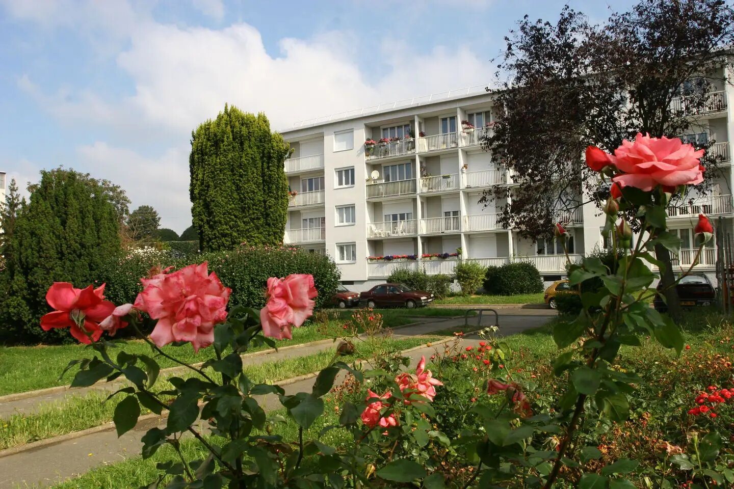 Appartement à louer, 48m², Villejuif
