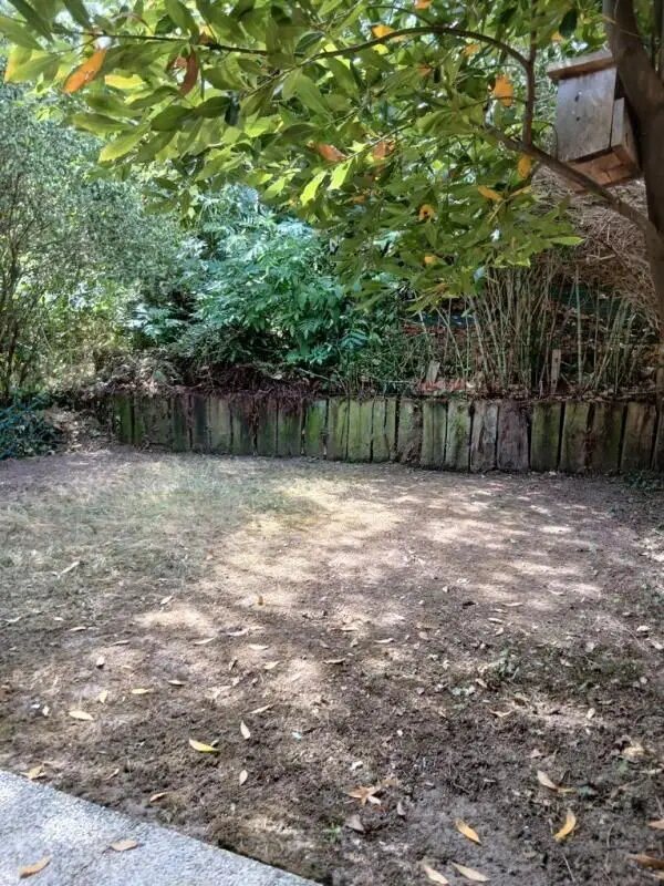 Appartement à louer, 59m², La Celle-Saint-Cloud