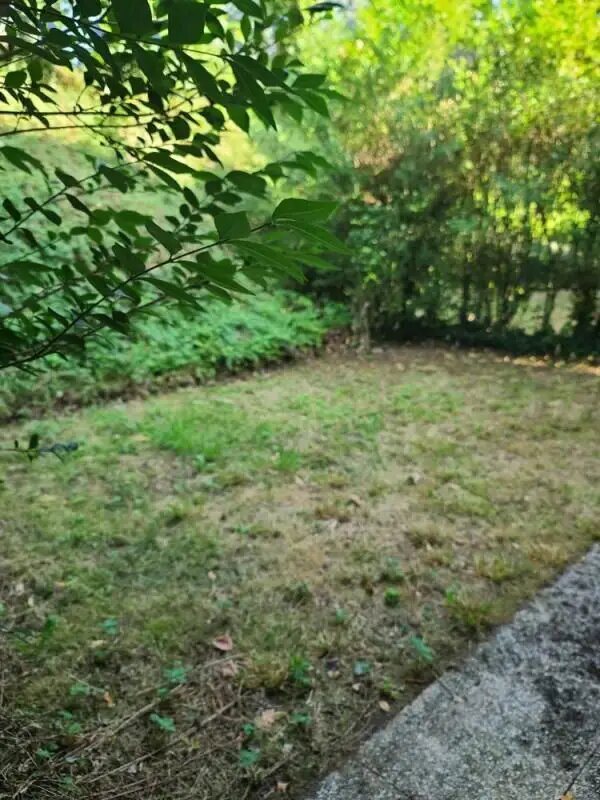 Appartement à louer, 59m², La Celle-Saint-Cloud