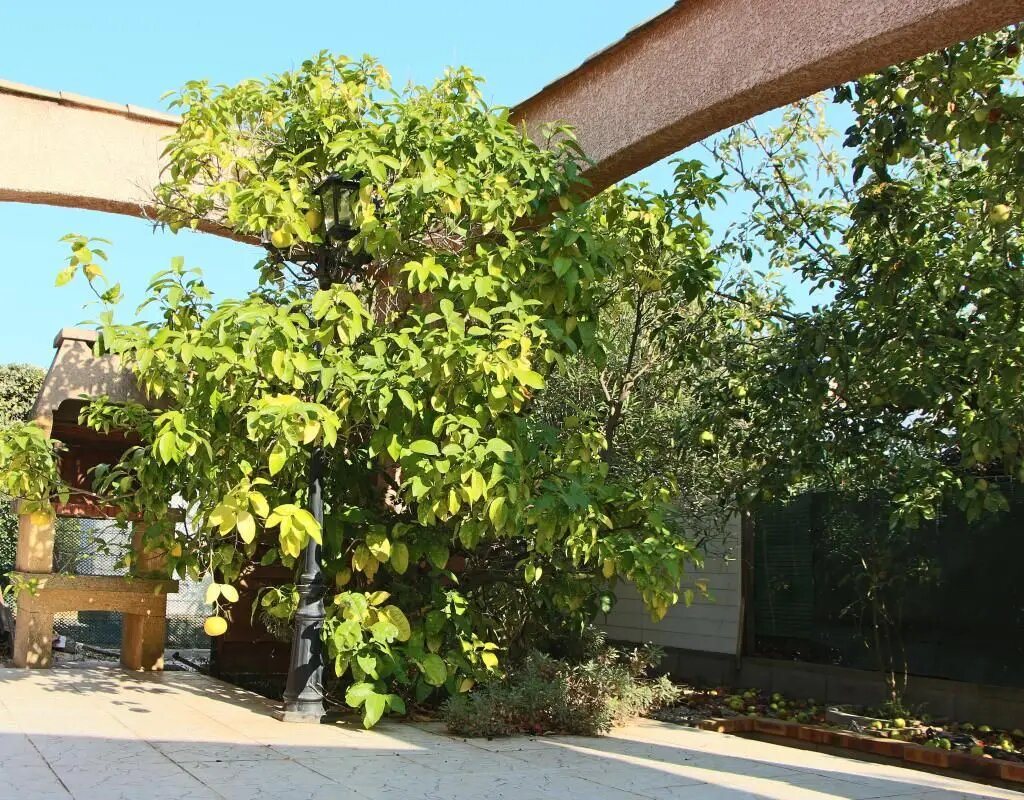 Maison à vendre, 82m², Marseillan