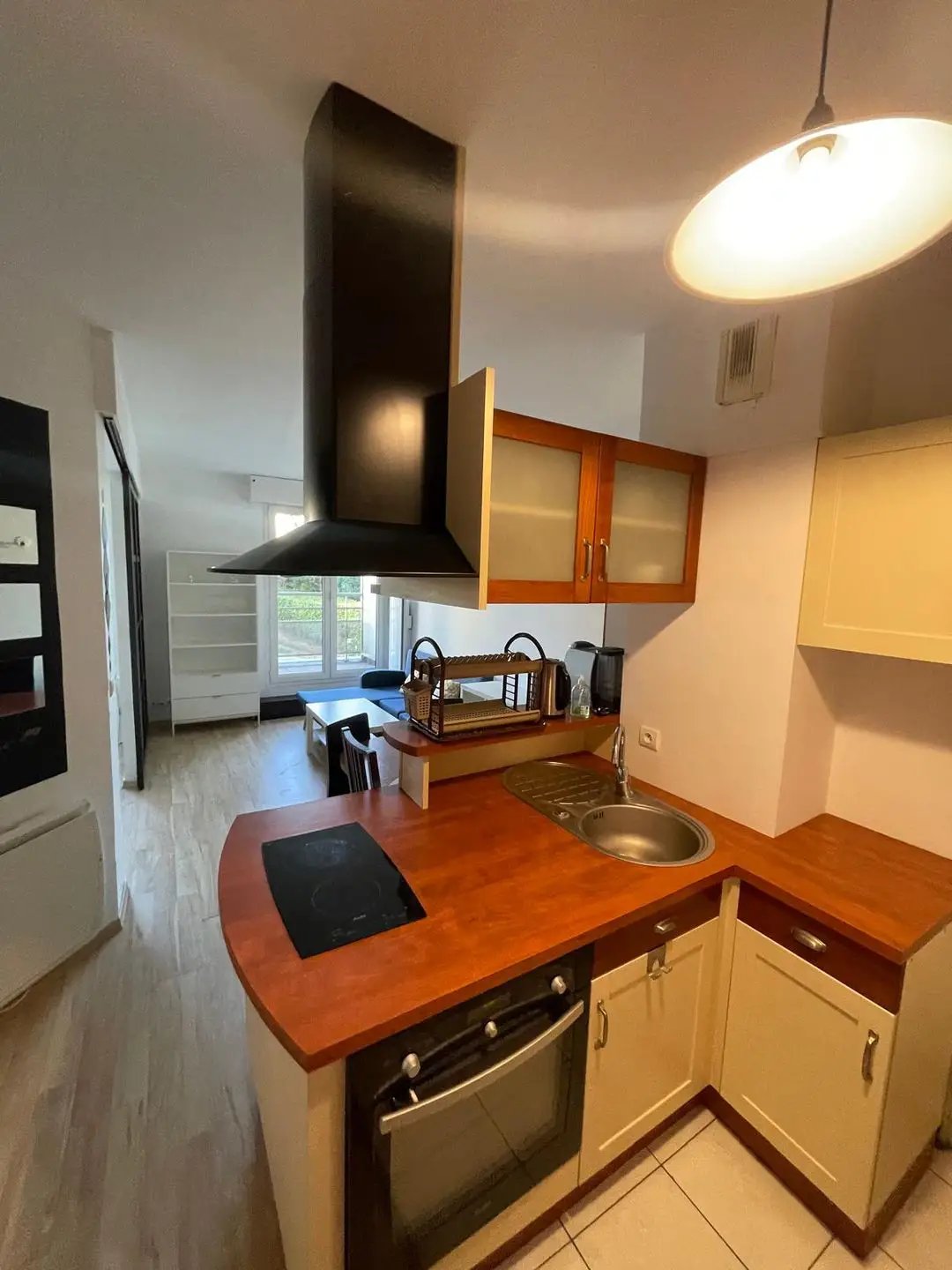 Appartement à louer, 40m², Bagneux