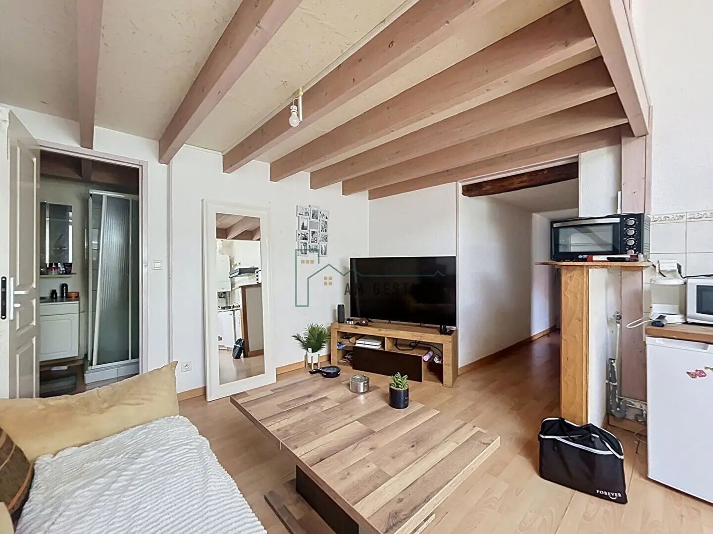Appartement à louer, 38m², Aixe-sur-Vienne