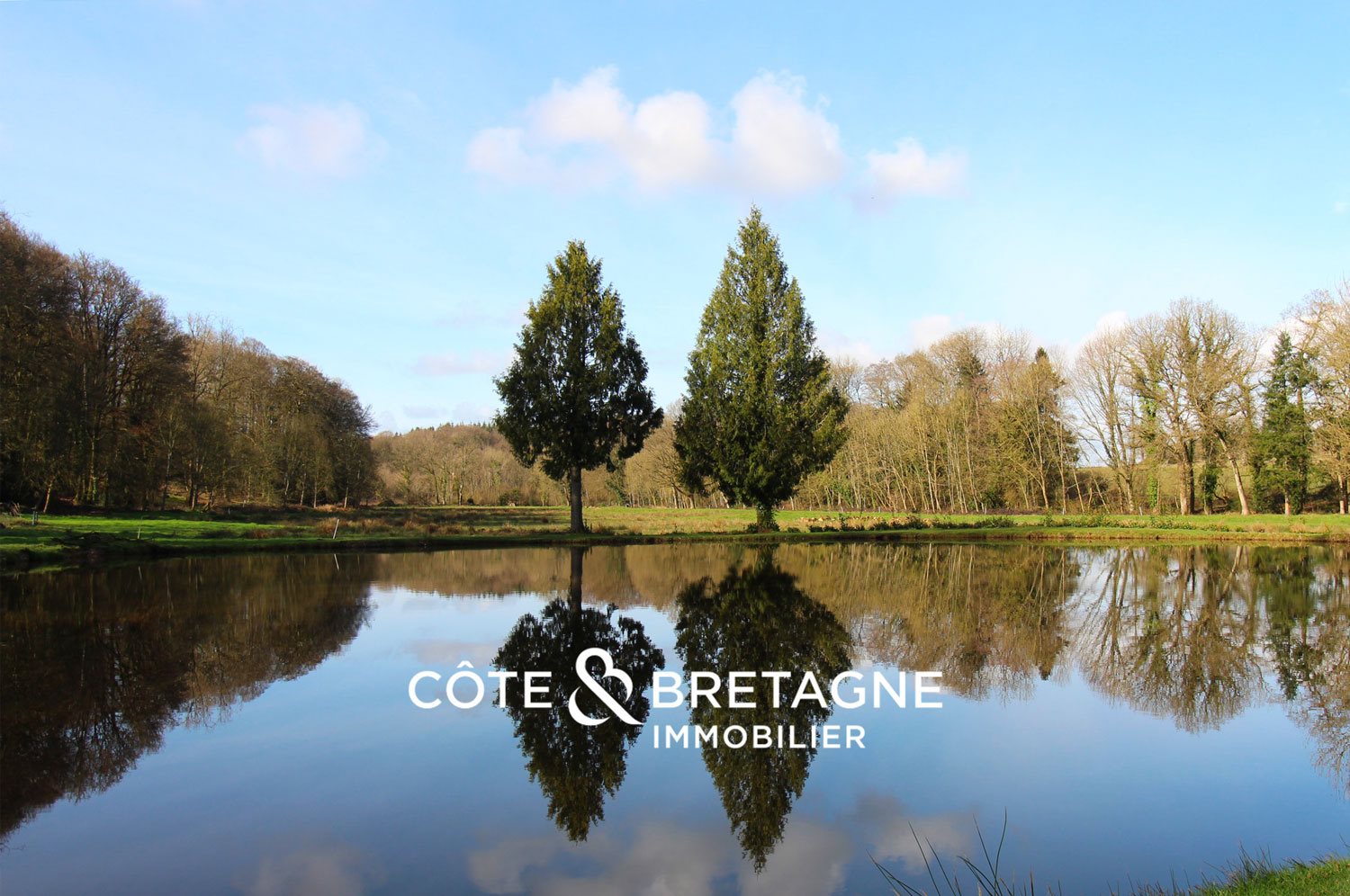 Maison à vendre, 561m², Merdrignac