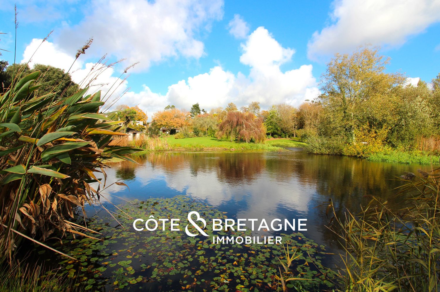 Maison à vendre, 555m², Morlaix