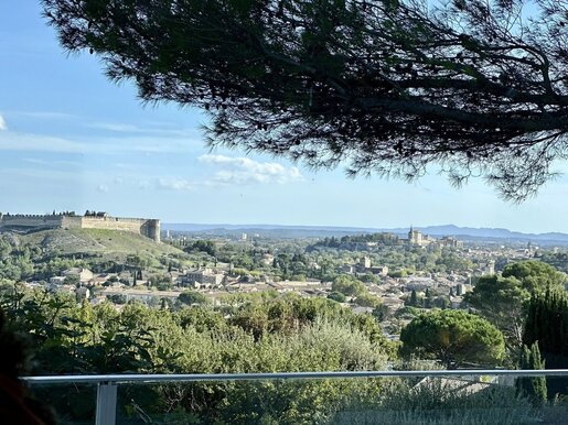 Maison 11 pièces 340 m² · à Villeneuve-lès-Avignon · 340 m² · 1 890 000 €