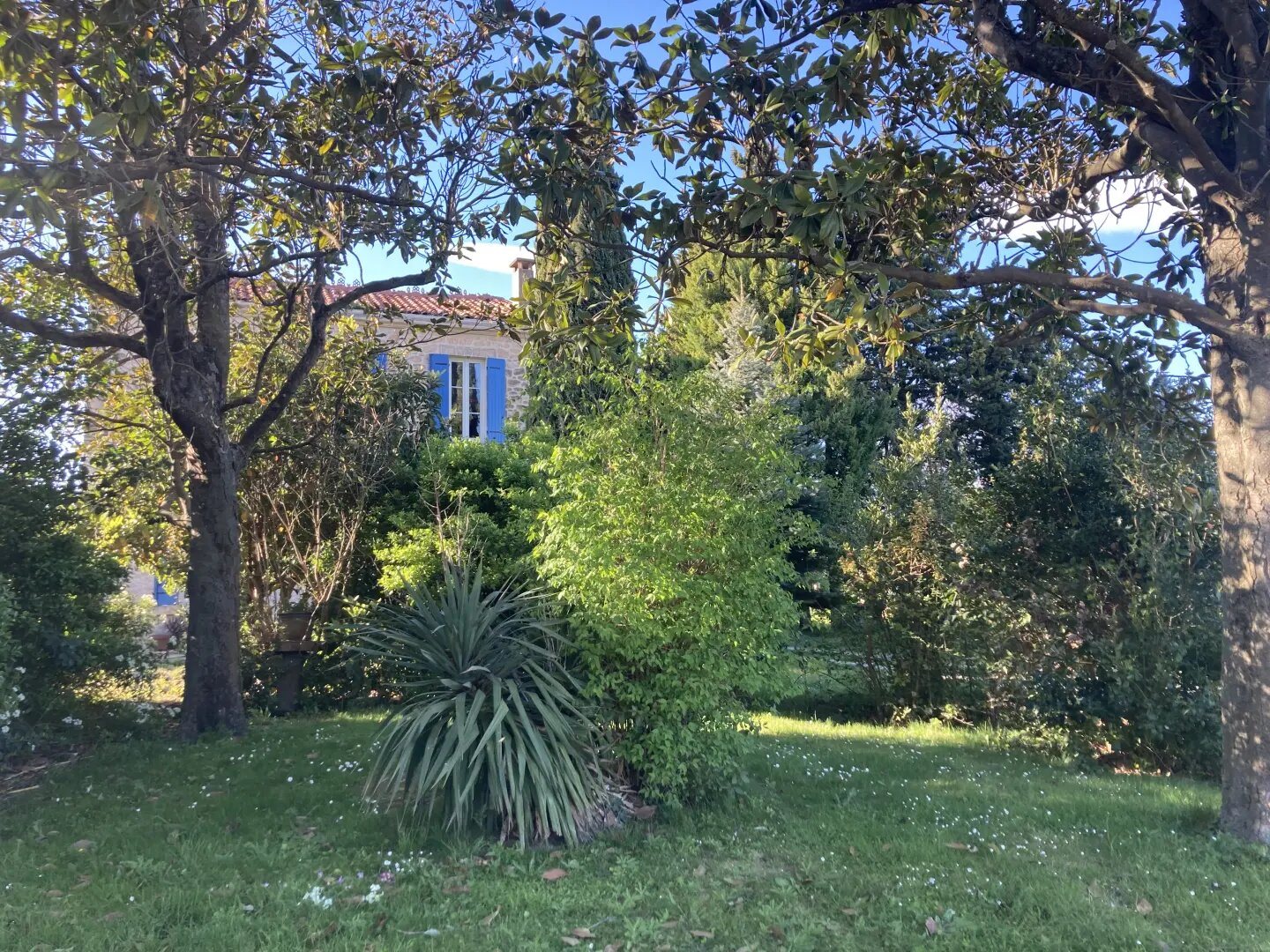 Maison à vendre, 200m², Velleron