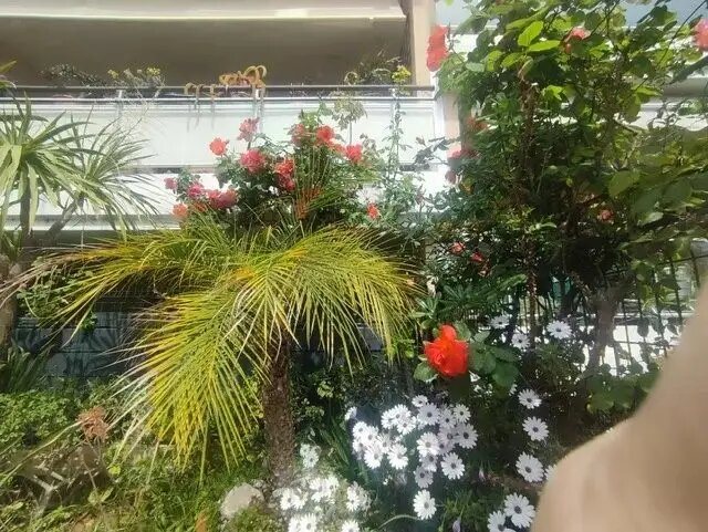 Appartement à vendre, 18m², Roquebrune-Cap-Martin