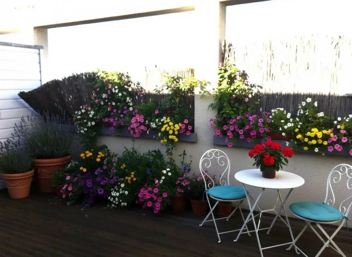 Appartement à louer, 35m², Orléans