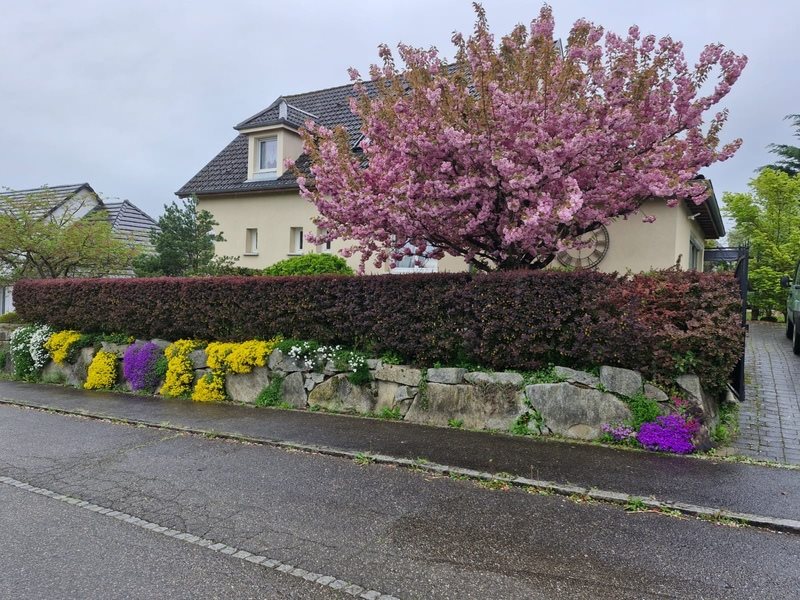 Maison à vendre, 251m², Wentzwiller