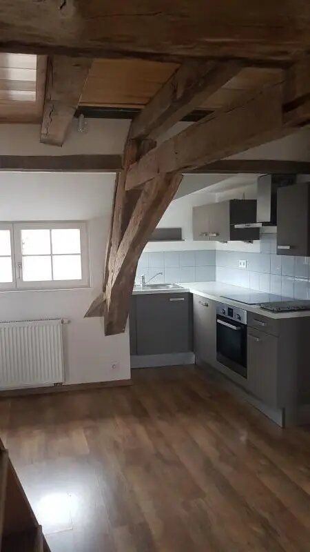 Appartement à louer, 39m², Wissembourg