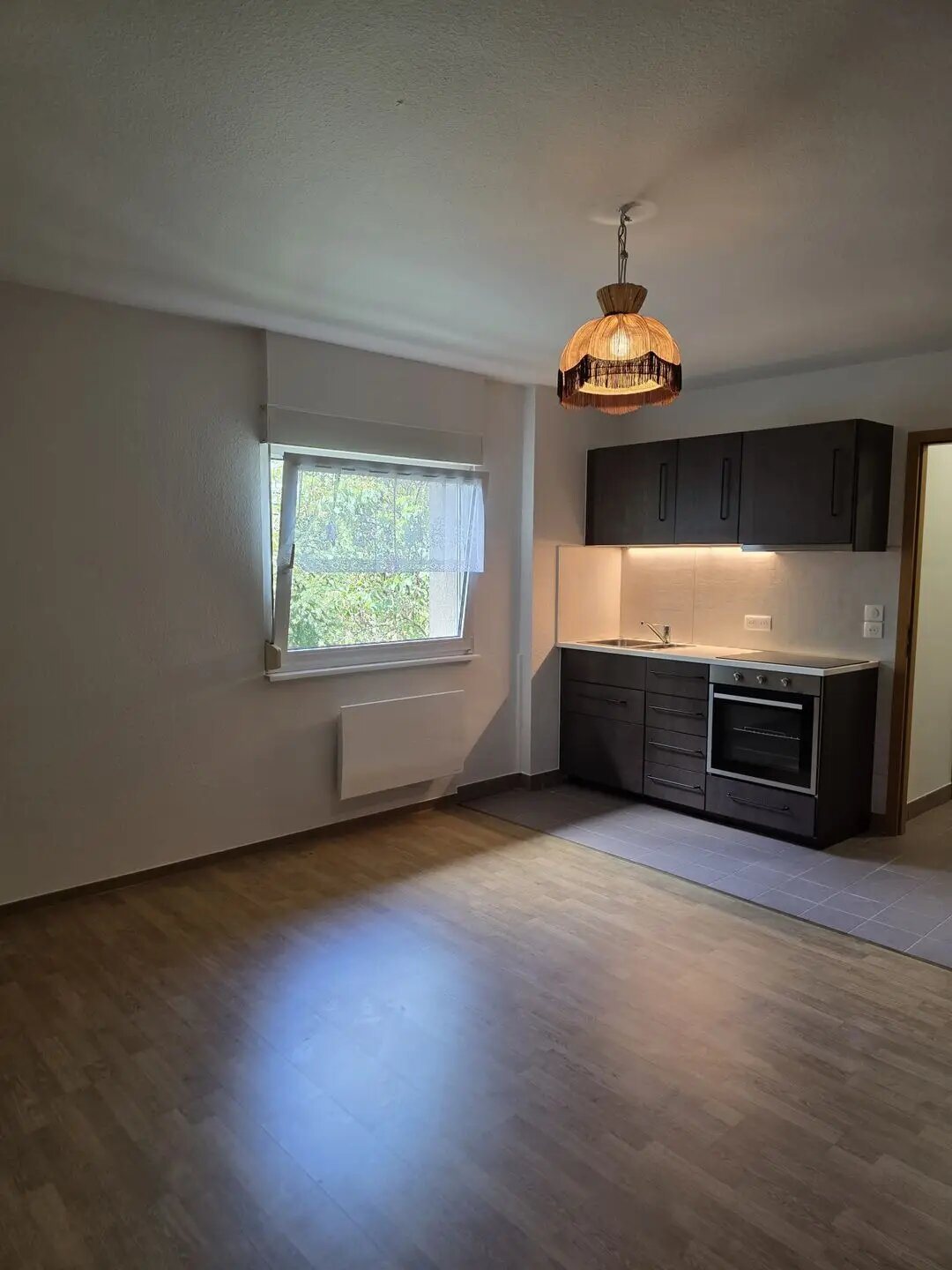 Appartement à louer, 29m², Wissembourg
