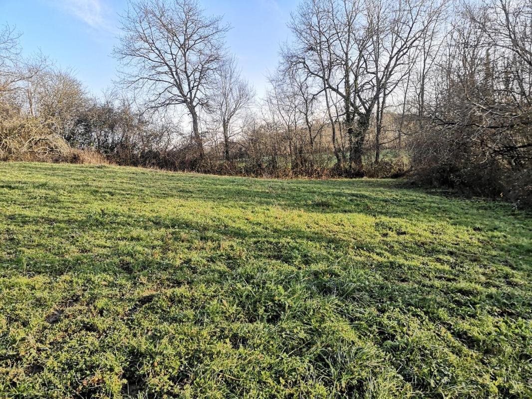 Maison à vendre, 156m², Montesquiou