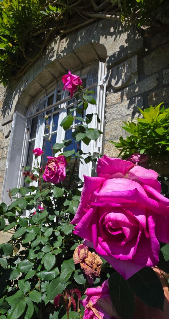 Maison à vendre, 200m², Quimper