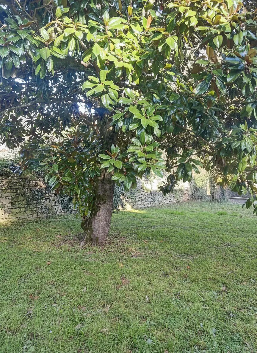 Maison à vendre, 81m², Saint-Alban-de-Roche