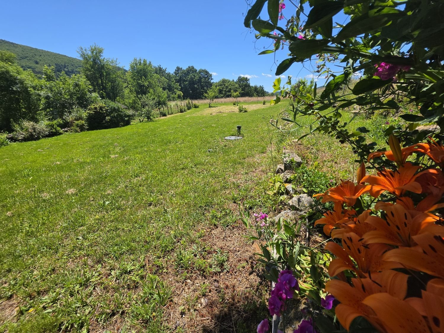Maison à vendre, 51m², Saint-Barthélemy-Grozon