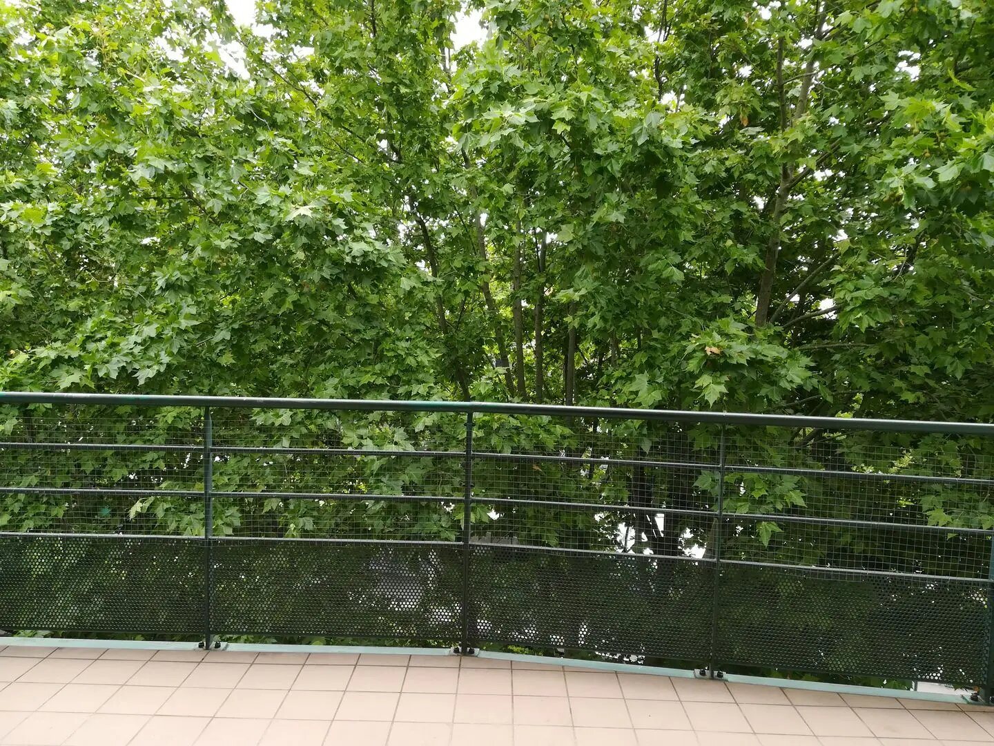Appartement à louer, 66m², Caluire-et-Cuire