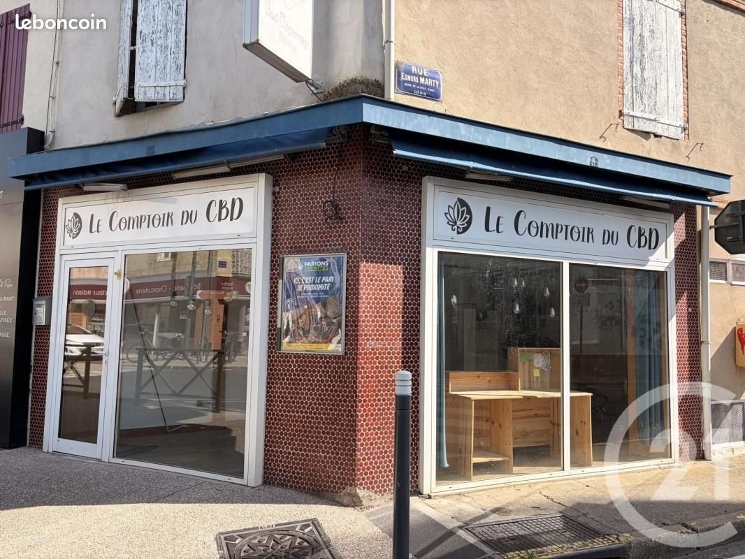 Appartement à louer, 52m², Albi