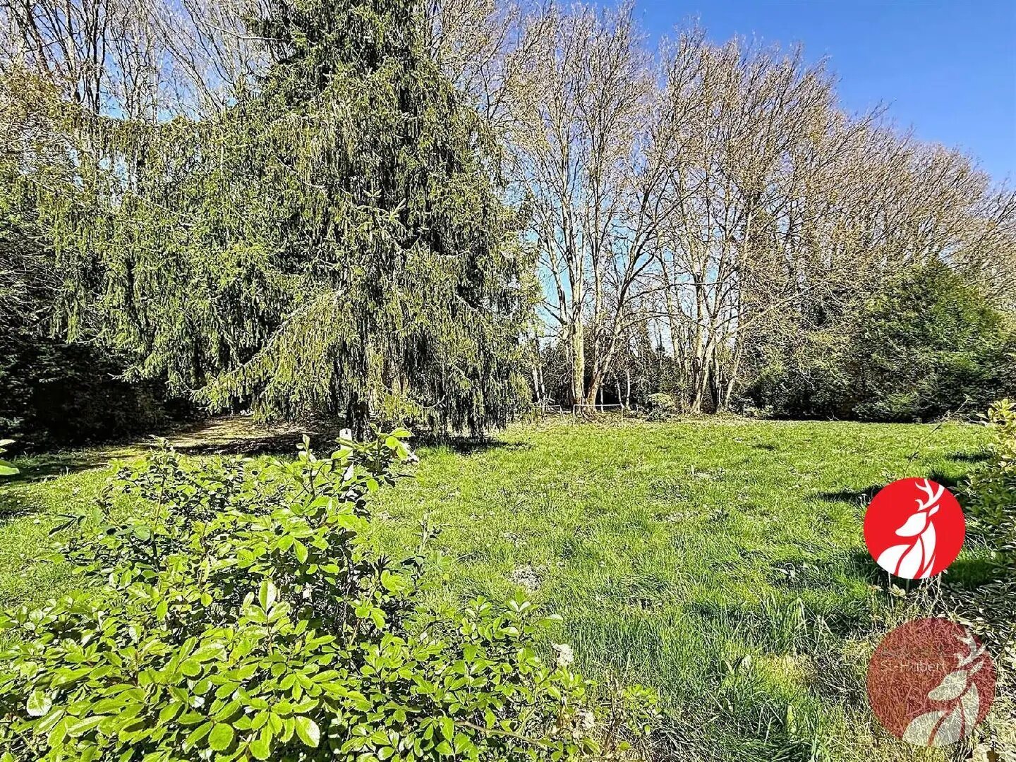 Maison à vendre, 161m², Milly-la-Forêt