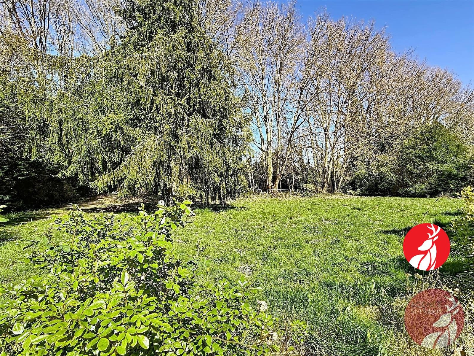 Maison à vendre, 161m², Noisy-sur-Ecole
