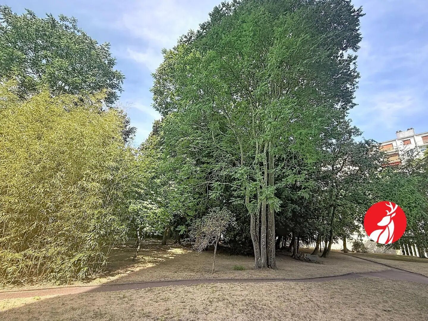 Appartement à vendre, 68m², Fontainebleau