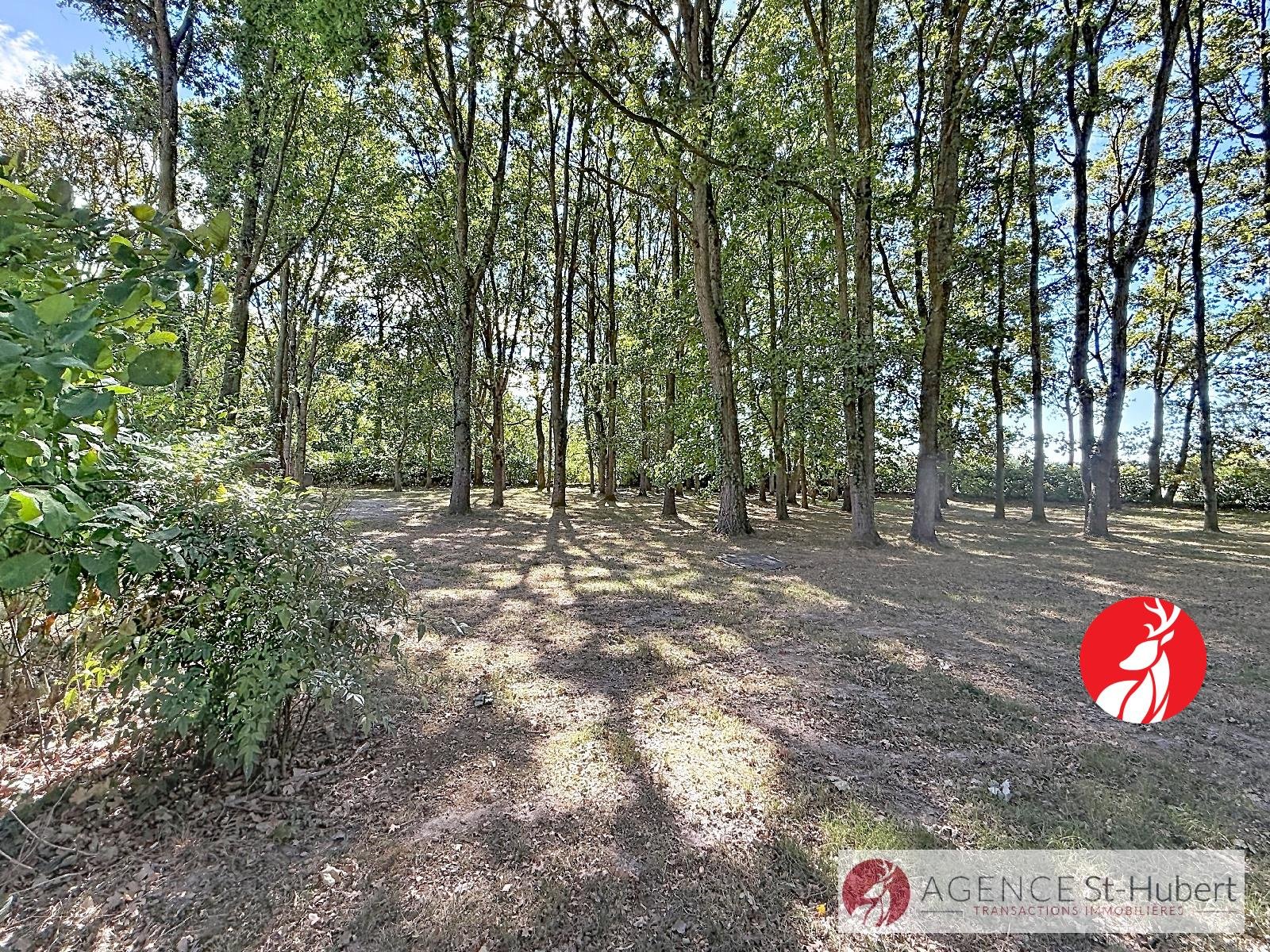 Maison à vendre, 300m², Barbizon