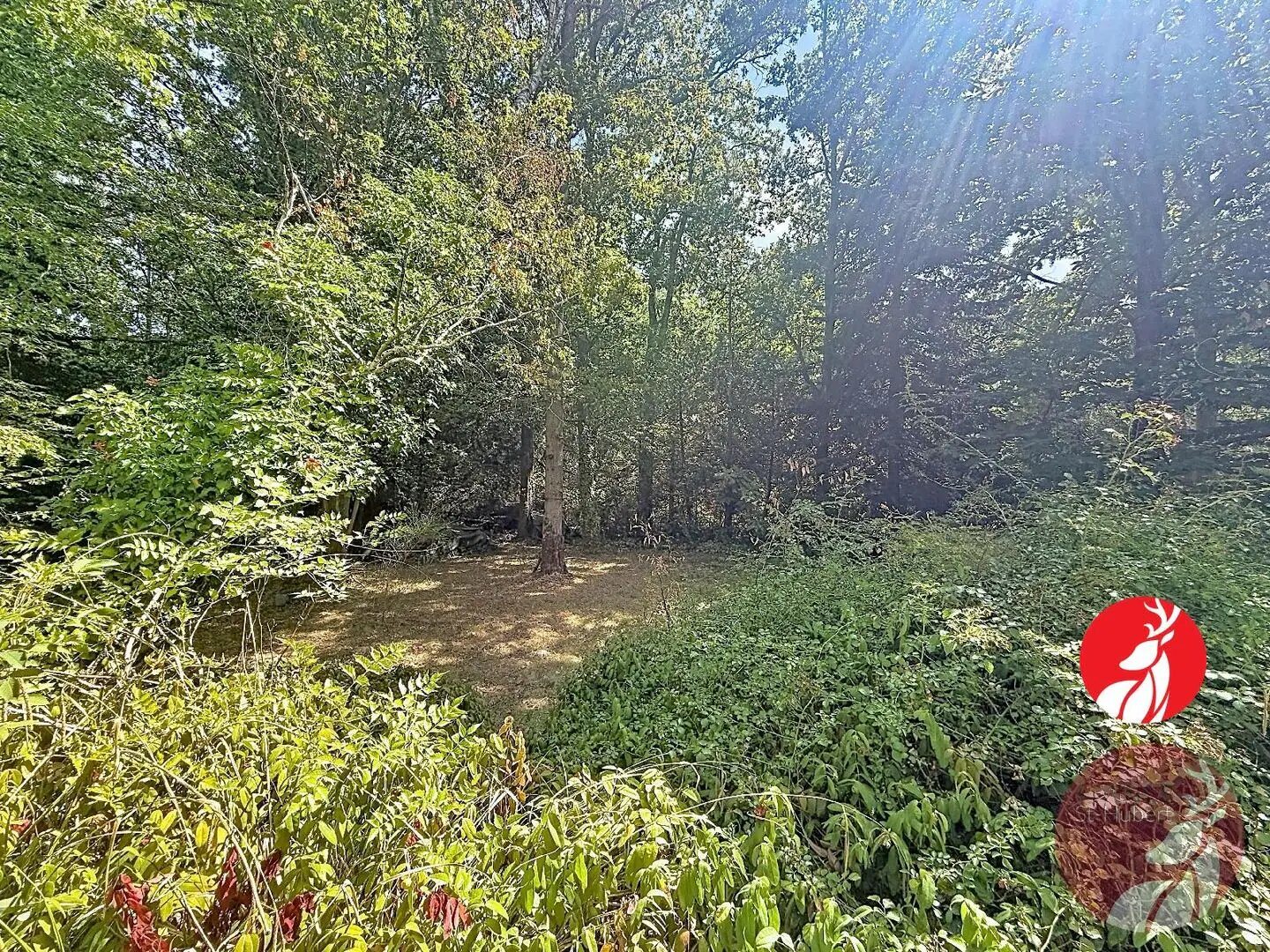 Maison à vendre, 98m², Barbizon