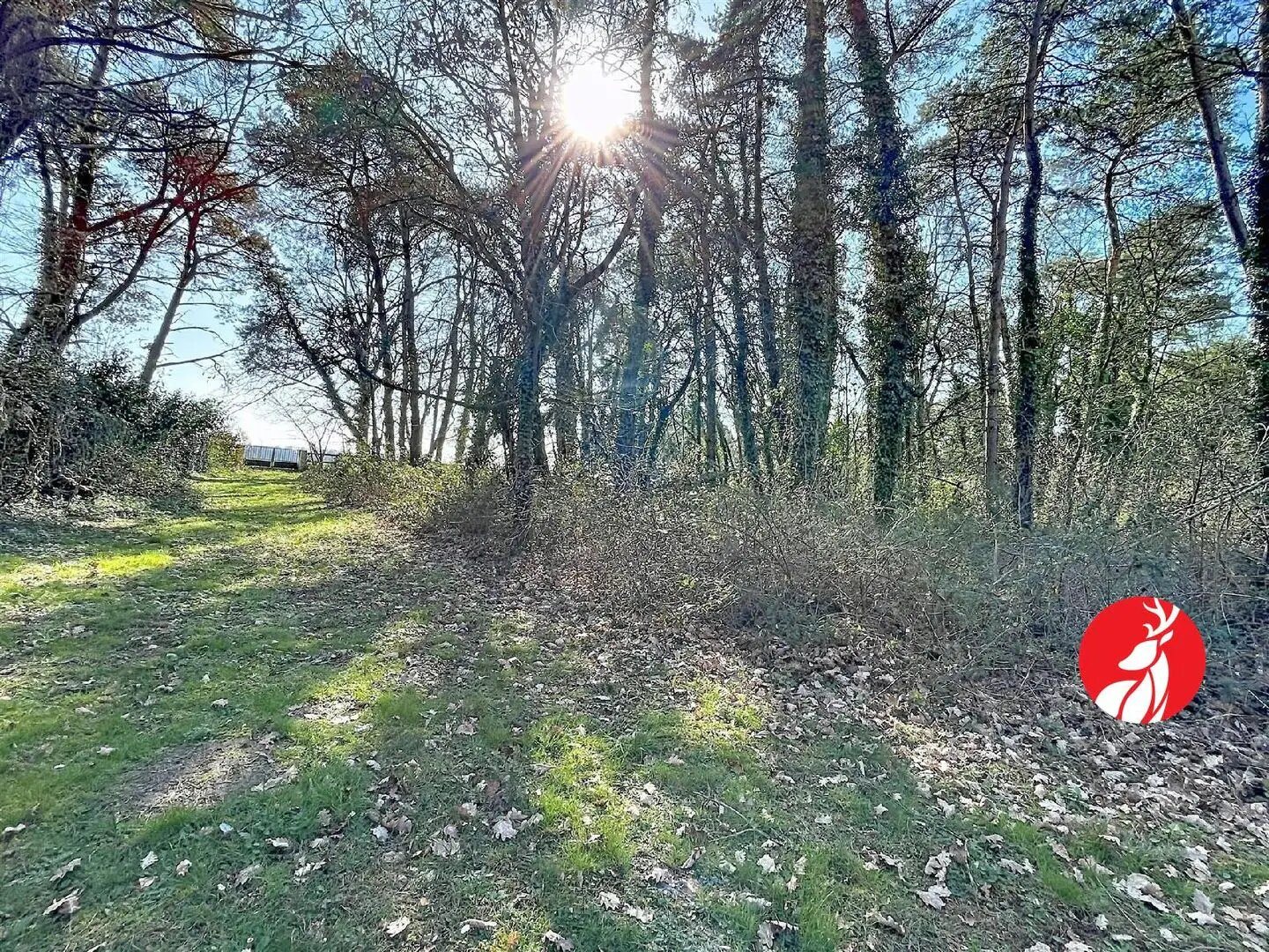 Maison à vendre, 145m², Barbizon