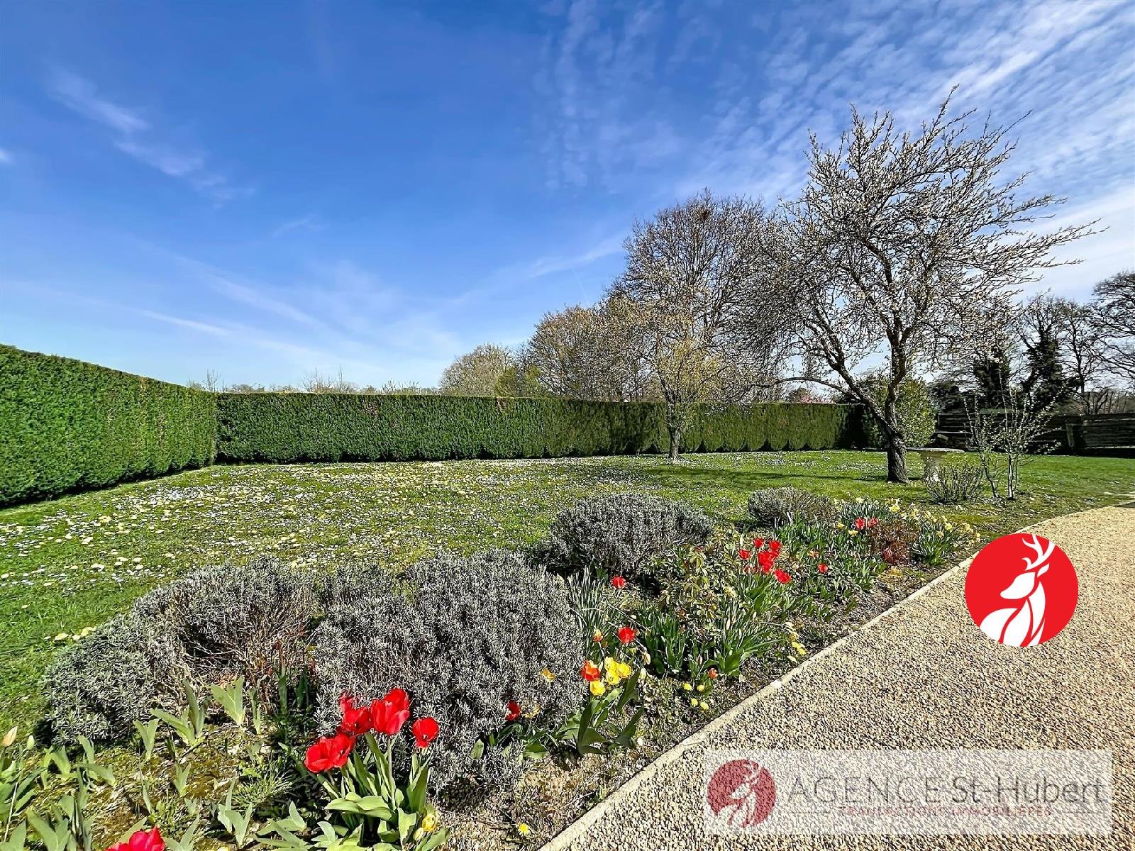 Maison à vendre, 160m², Barbizon