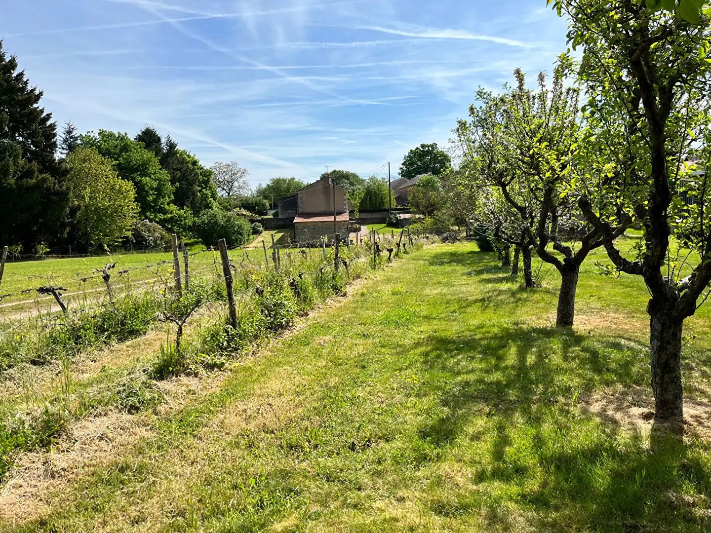 Maison à vendre, 83m², Ayron