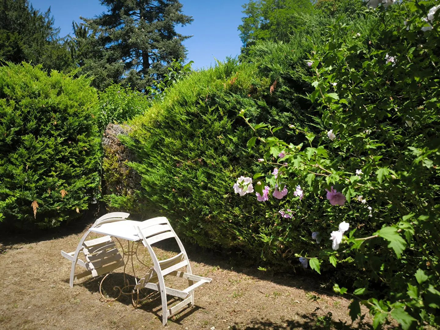 Maison à vendre, 44m², Rochecorbon