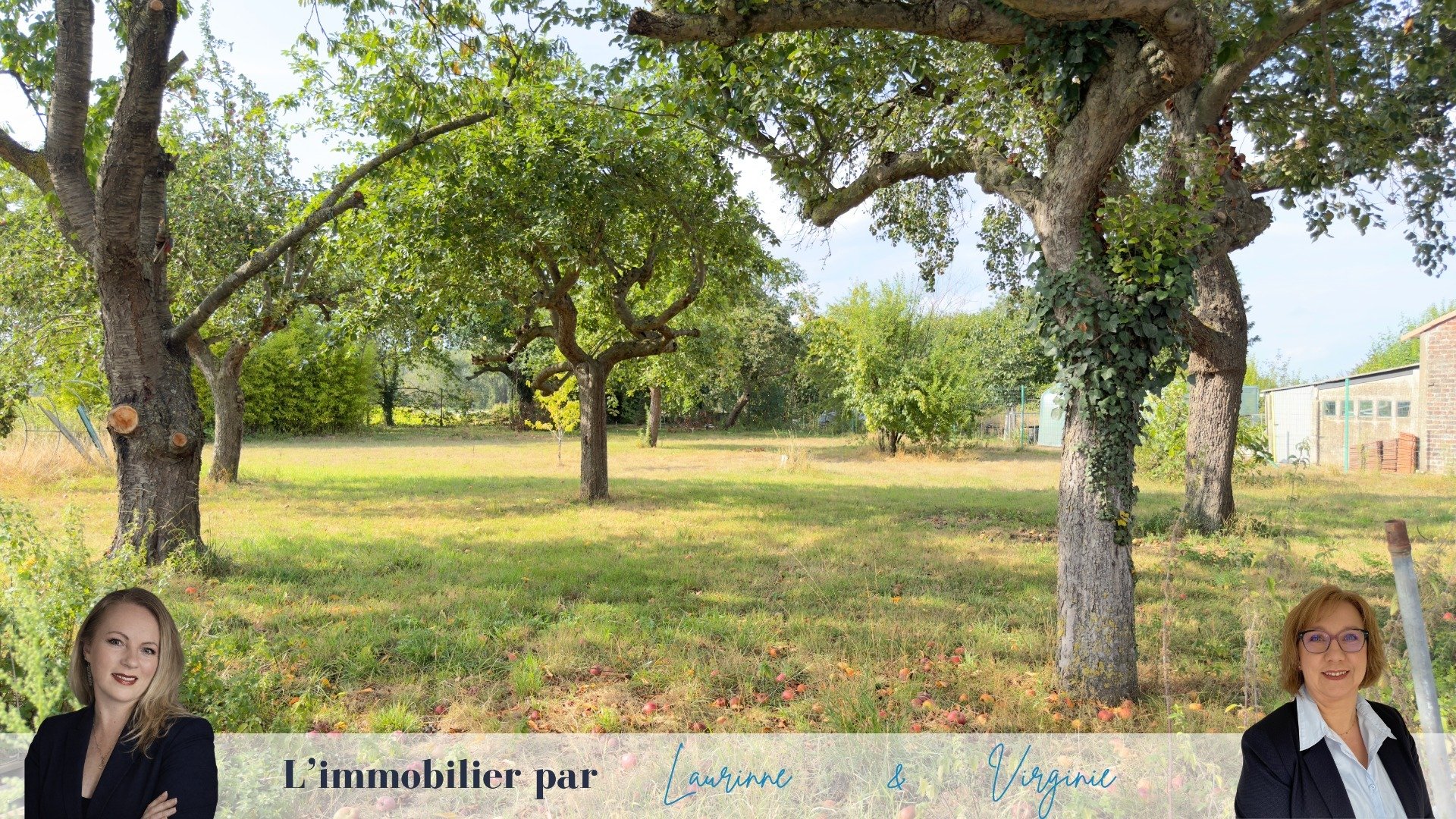 Maison à vendre, 205m², Flines-lès-Mortagne