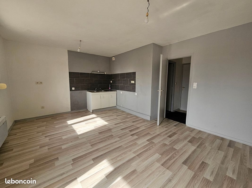 Appartement à louer, 43m², Saône