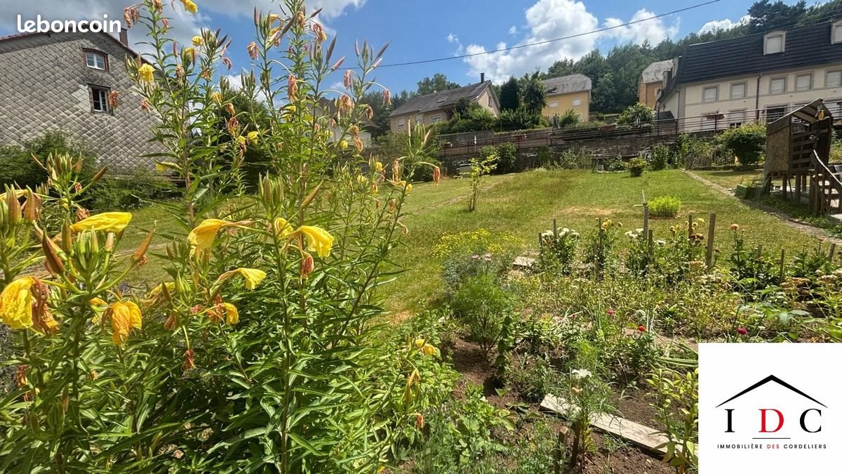 Maison à vendre, 73m², Sarrebourg