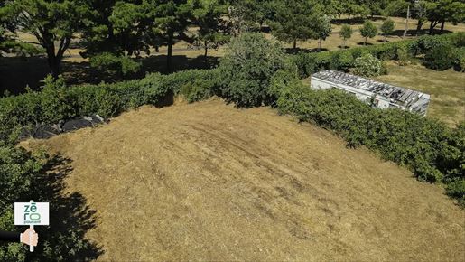 Advert pic 0