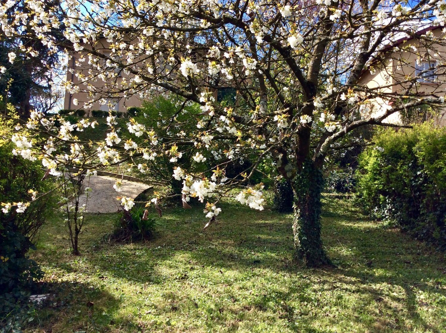 Maison à vendre, 250m², Rillieux-la-Pape