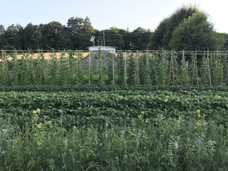 Maison à vendre, 103m², Châteauneuf-la-Forêt