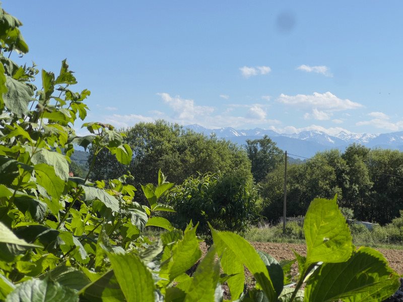 Maison à vendre, 307m², Trie-sur-Baïse
