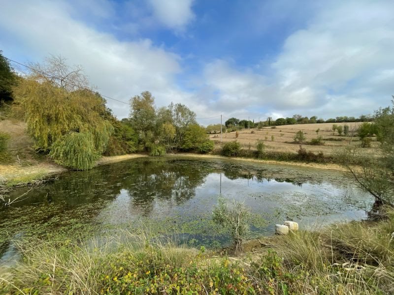 Maison à vendre, 172m², Pavie